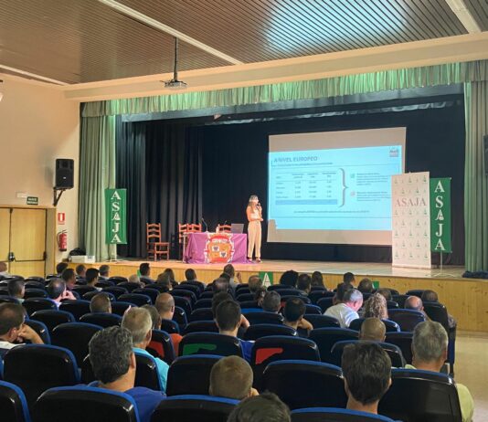 El futuro de la patata, un cultivo estratégico