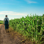 Nuevas ayudas para la creación de empresas