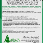 Documento A4 Papelería Corporativa Empresarial Orgánico Beige