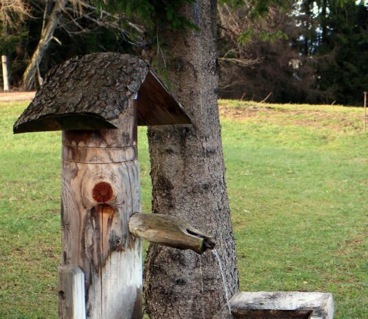 Las ayudas al abastecimiento de agua en las explotaciones ganaderas se podrán solicitar hasta el 30 de septiembre