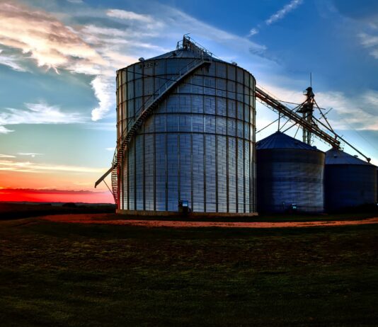 Lonja agropecuaria de Salamanca del 8 de agosto de 2022