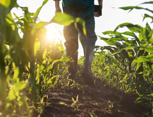 Ampliación de ayudas para los autónomos