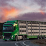 Las exportaciones agroalimentarias crecieron un 11% en 2021