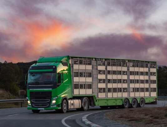 Las exportaciones agroalimentarias crecieron un 11% en 2021