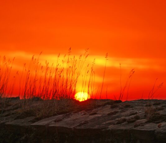 La Junta declara la situación de alerta de incendios por riesgo meteorológico el 10 de agosto