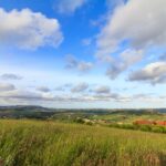 Nuevos contratos agroambientales y ecológicos para el plan de la PAC 2023-2027