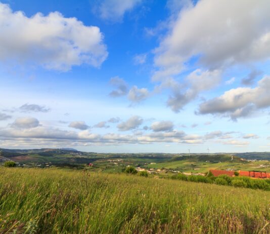 Nuevos contratos agroambientales y ecológicos para el plan de la PAC 2023-2027