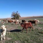 WhatsApp Image 2021-10-22 at 11.30.33 (1)