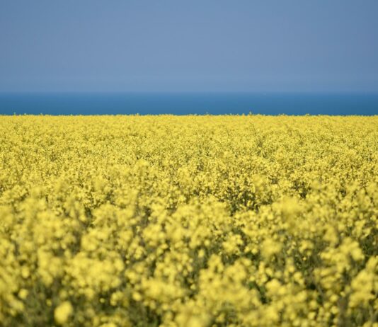 Lonja agropecuaria de Salamanca del 19 de septiembre de 2022