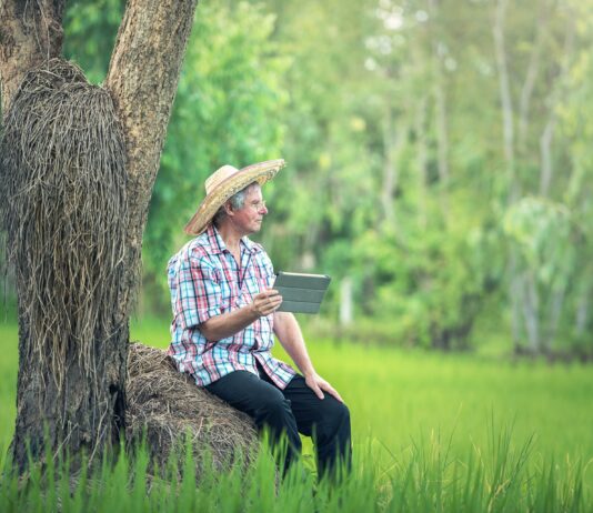 Hasta el próximo 4 de noviembre pueden solicitarse las ayudas para fomentar el autoempleo en Castilla y León Agricultor.