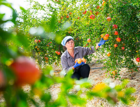 La Diputación celebra el Día de las Mujeres Rurales en Alba de Tormes