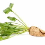 Ya se conocen los importes provisionales para las ayudas asociadas a los cultivos de la PAC 2022