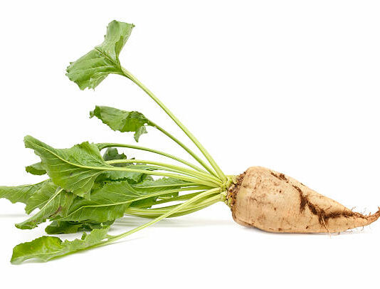 Ya se conocen los importes provisionales para las ayudas asociadas a los cultivos de la PAC 2022