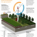 Las torres antiheladas de Ag Group reducen los riesgos de helada cada año