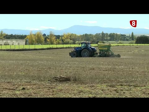 Campo Salmantino tv del 21 de noviembre 2022