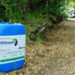 La Comisión Europea prorroga un año más el uso del glifosato