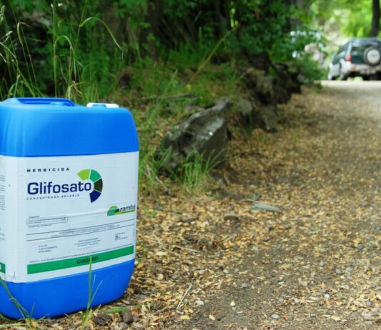 La Comisión Europea prorroga un año más el uso del glifosato