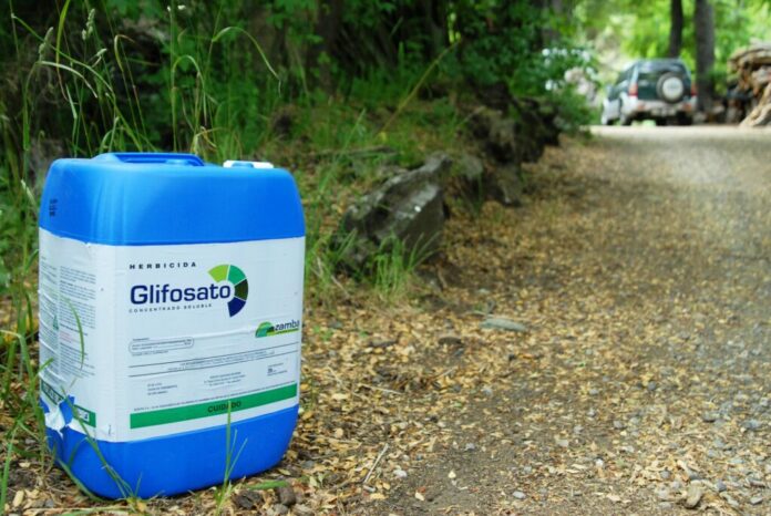 Glifosato