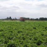 Nuevo curso de actualización de manipulador de plaguicidas el 10 de enero