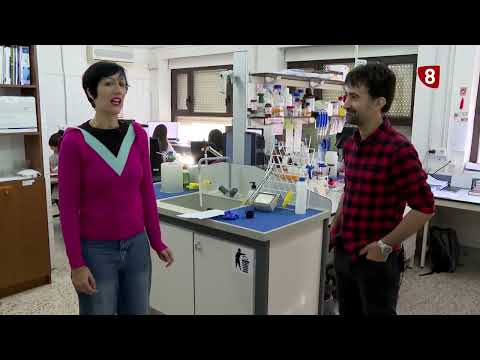 Campo Salmantino tv del 12 de diciembre de 2022