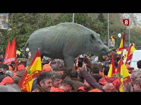 Campo Salmantino tv del 19 de diciembre 2022
