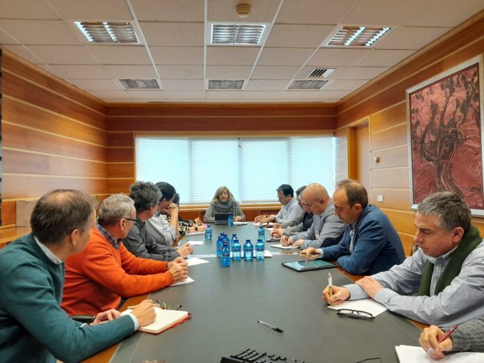 20230215+mesa+porcino+2