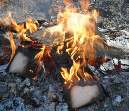 Protocolo para solicitar autorizaciones de quema de restos vegetales