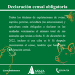 declaración censal obligatoria