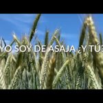 Yo soy de ASAJA… ¿y tú? ¿De quién eres?