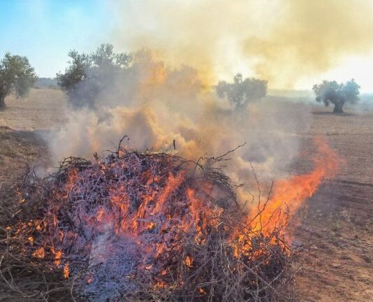 Se suspenden todas las autorizaciones de quemas hasta el 11 de mayo