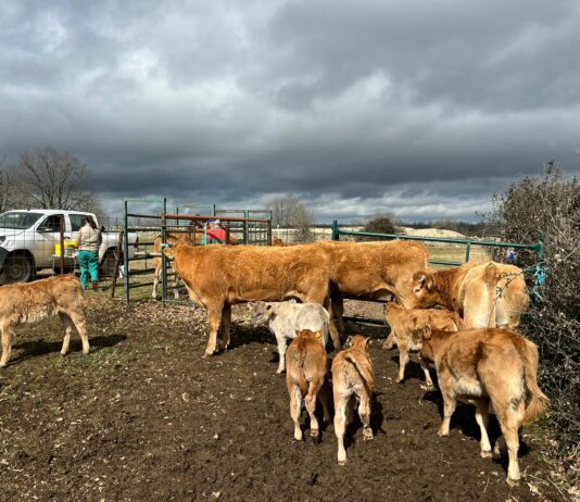 ASAJA pide ampliar el período de exención de tasas veterinarias en las peticiones de parte