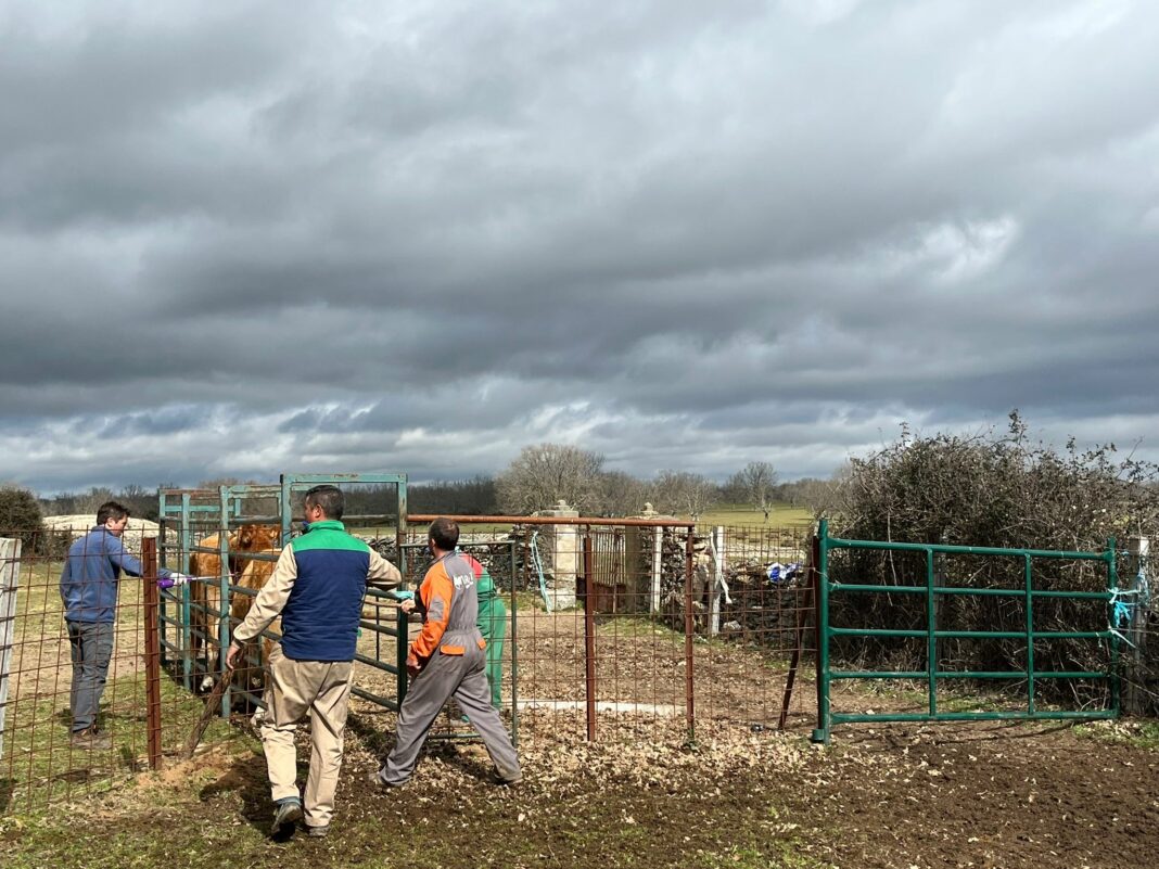 WhatsApp Image 2023-03-13 at 12.01.38 (4)