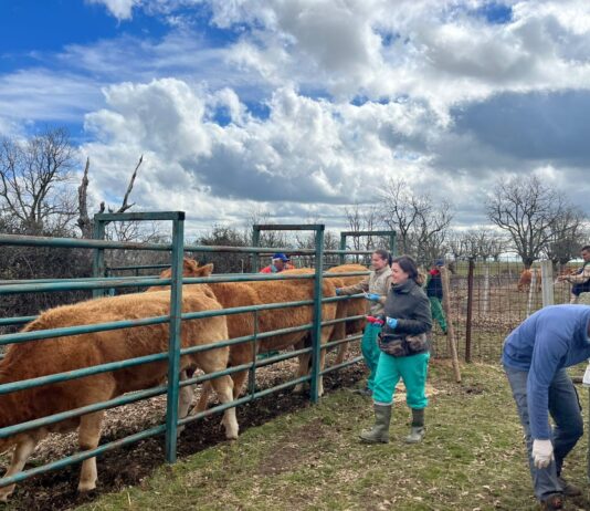 ASAJA vaticina “un importante atasco” en las pruebas ganaderas por falta de equipos