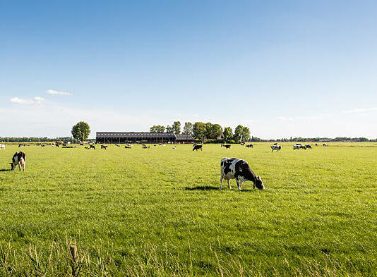 ASAJA pide a la Junta y los bancos que busquen soluciones para los agricultores atrapados en la brutal subida de intereses de los préstamos del ‘instrumento financiero’