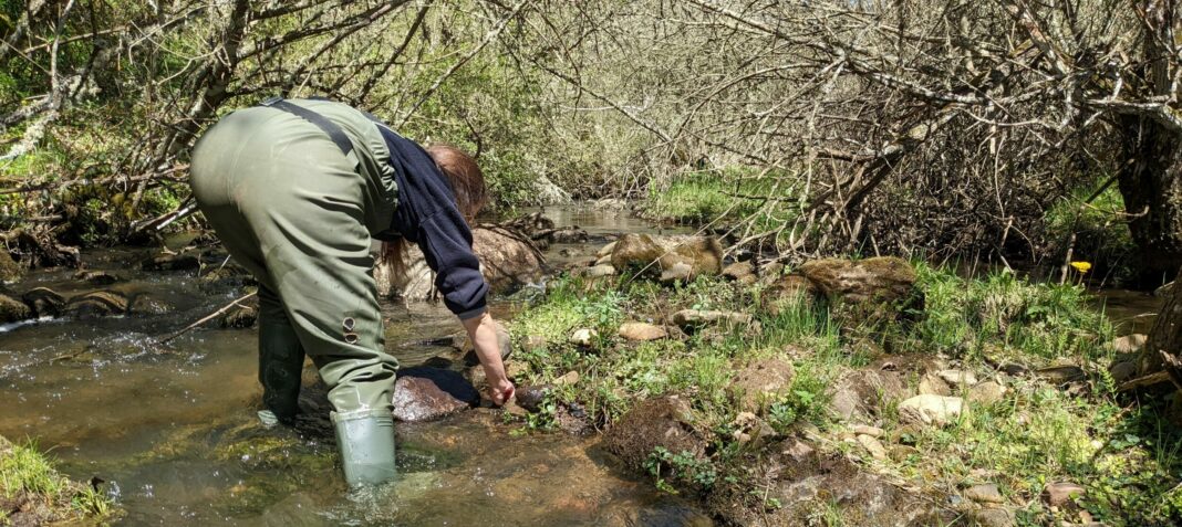Muestreos biológicos en la cuenca del Duero (1) web
