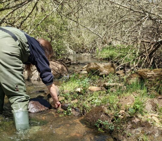 La CHD inicia la campaña de muestreos biológicos en 366 puntos de la cuenca del Duero para evaluar el estado de las masas de agua