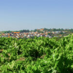 Luz verde al Plan de Obras de la Zona de Concentración Parcelaria de Masueco Masueco