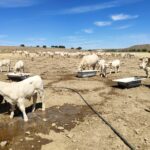 ASAJA recuerda que el plazo para la realizar inversiones por las ayudas al abastecimiento de agua está abierto hasta el 30 de noviembre de 2023