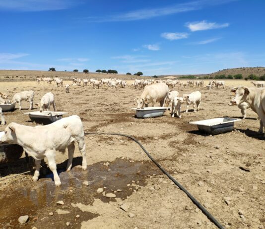 ASAJA recuerda que el plazo para la realizar inversiones por las ayudas al abastecimiento de agua está abierto hasta el 30 de noviembre de 2023