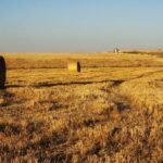 La mesa de la sequía se reúne el 19 de abril