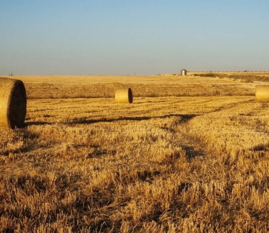 La mesa de la sequía se reúne el 19 de abril