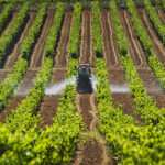 Publicado el listado de los beneficiarios a las ayudas de fertilizantes