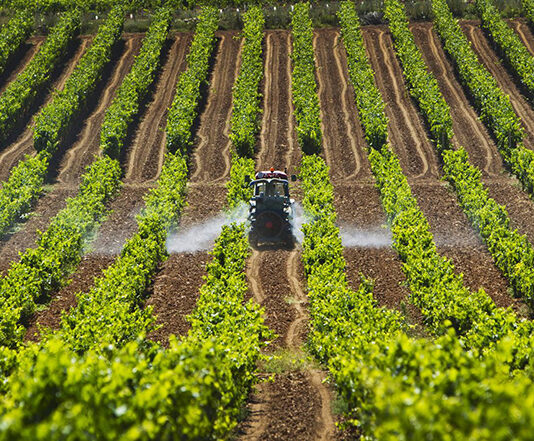 Publicado el listado de los beneficiarios a las ayudas de fertilizantes