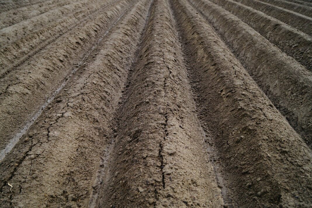 fields-gac3accb7a_1280