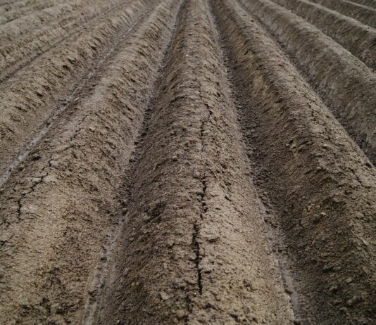 Asaja solicita al ministro Planas la convocatoria urgente de la mesa de la sequía