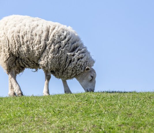 El 4 de mayo acaba el período de contratación de los acuerdos plurianuales para acogerse a las ayudas agroambientales