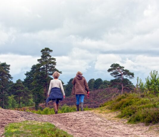 El Ministerio de Agricultura, Pesca y Alimentación amplía el plazo para participar en los XIV Premios de excelencia a la innovación para mujeres rurales