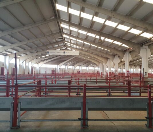 Lonja Agropecuaria de Salamanca del 22 de mayo de 2023