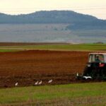 El Instrumento Financiero de Gestión Centralizada facilita el acceso al crédito a 1.000 explotaciones e industrias del sector agroalimentario