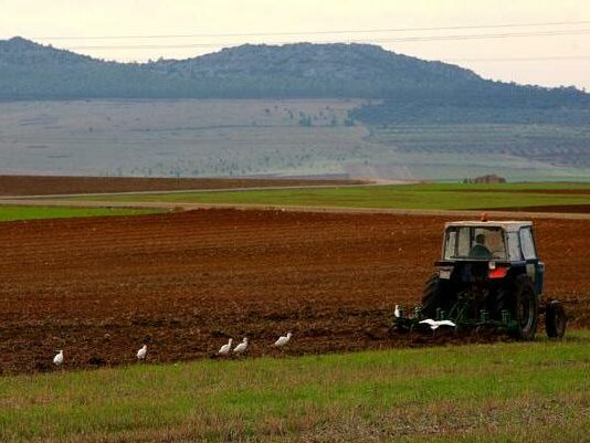 El Instrumento Financiero de Gestión Centralizada facilita el acceso al crédito a 1.000 explotaciones e industrias del sector agroalimentario